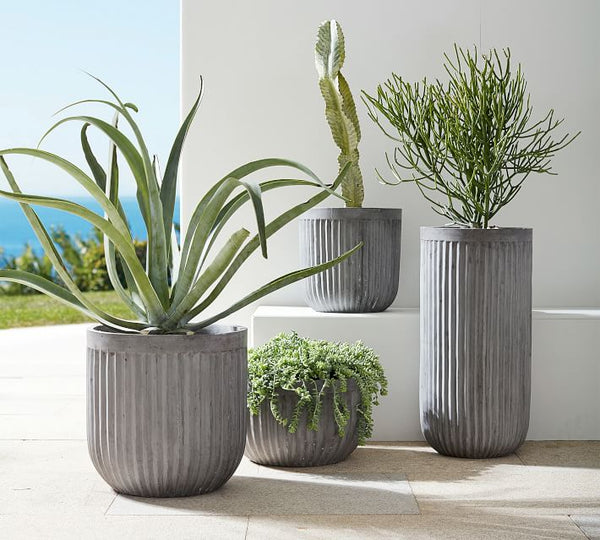 Concrete Cement Planters